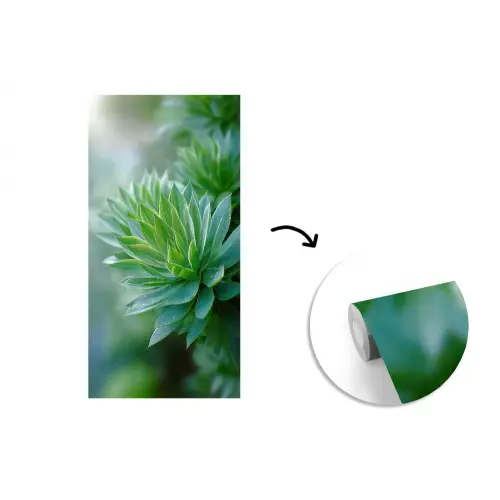 Blad - Plant - Groen - Textuur fotobehang vinyl groot -3d