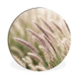 Gras - Close up - Groen Wandcirkel aluminium klein -3d