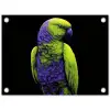 Papegaai - Veren - Opvallend - Groen tuinposter los doek klein -3d