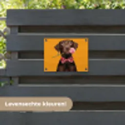 Hond - Oranje - Roos - Valentijn tuinposter los doek klein -sfeer3