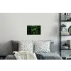 Bladeren - Regendruppels - Licht - Groen Muursticker klein -slaapkamer