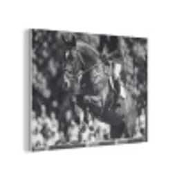 Springen - Paard - Zwart - Wit PET vilt klein -3d
