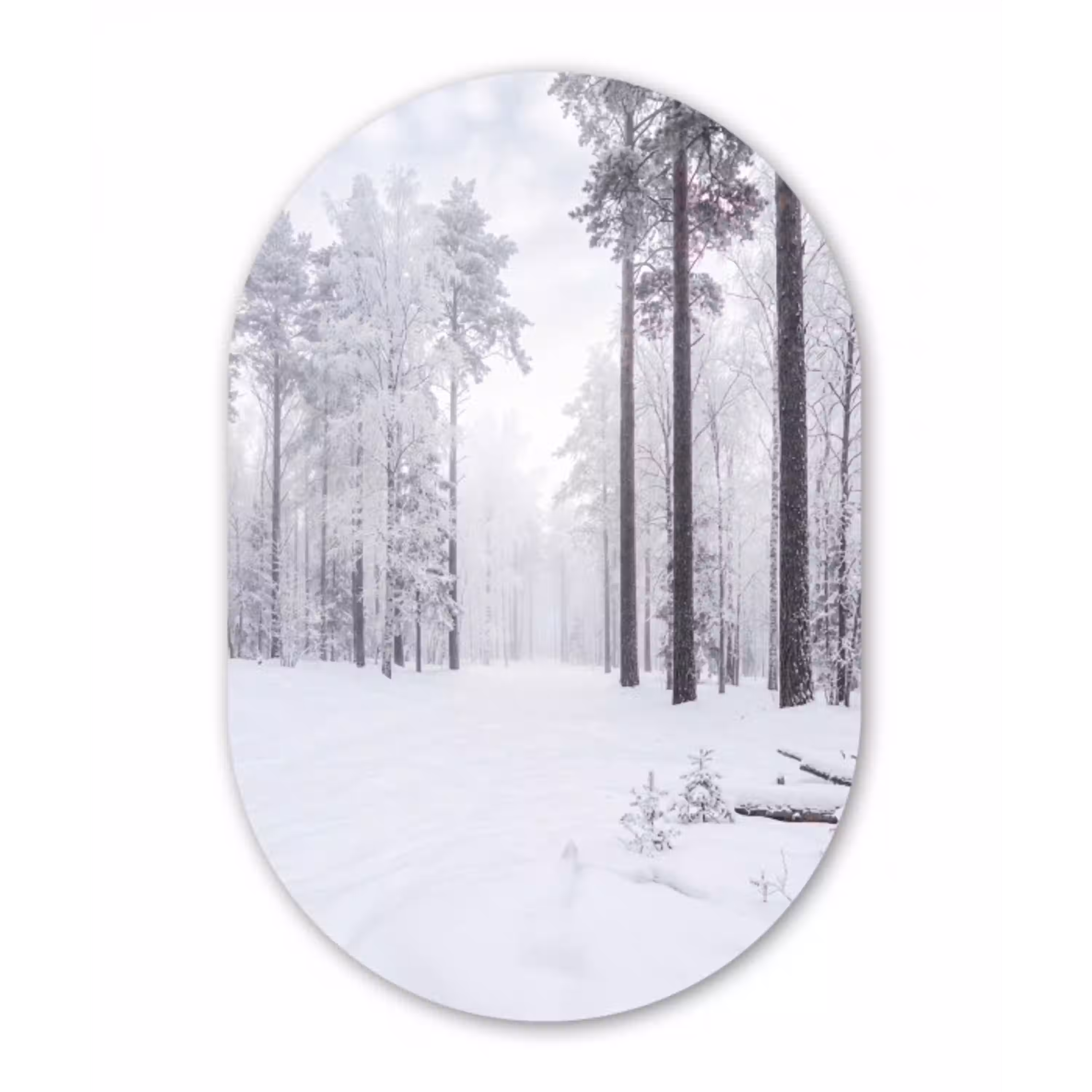 Bos - Sneeuw - Pad - Winter - Stilte Wandcirkel Ovaal Aluminium middel -3d