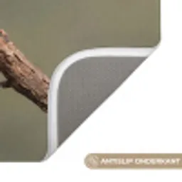 Papagaai - Tak - Natuur - Kleurrijk Badmat klein -USP_AntislipNL