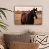 Paard - Zonsondergang - Bruin canvas 2cm klein -sfeer1