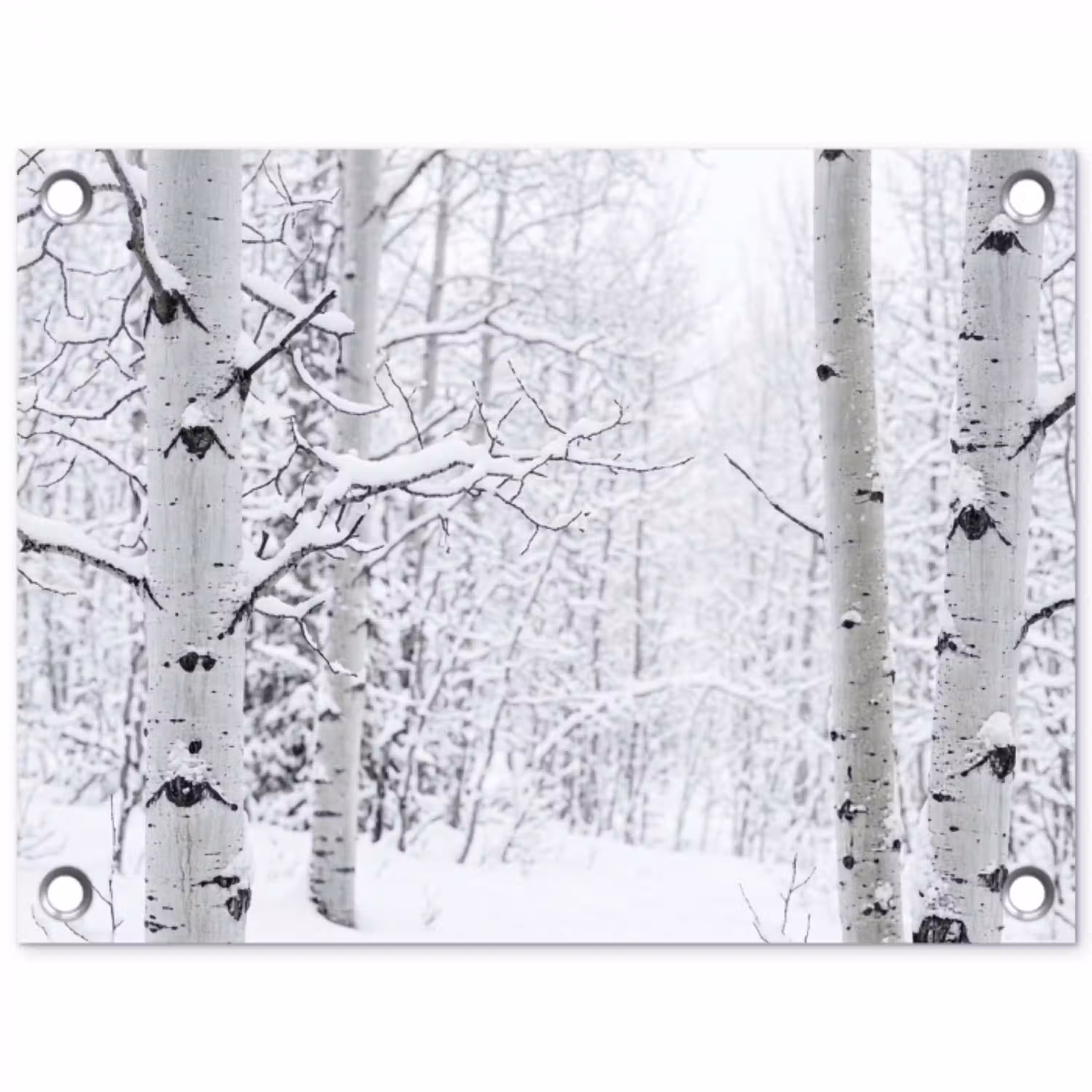 Berkenbomen - Sneeuw - Winter - Bos - Wit tuinposter los doek klein -3d