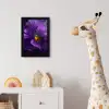 Paars - Viool - Diepte fotolijst zwart zonder passe partout klein -usfeer4_kinderkamer