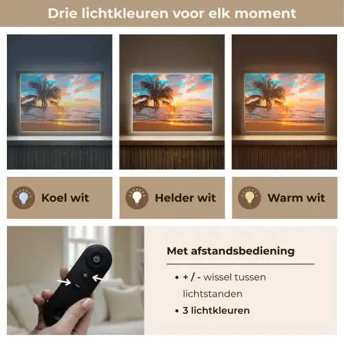 Palm - Zonsondergang - Horizon - Strand - Zee - Tropisch Light Box met batterij (Wandlamp) middel -USP_lichtkleurNL