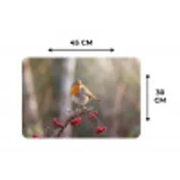 Roodborst - Tak - Bessen - Natuur Placemat vinyl groot -specs