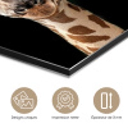 Giraffe - Dieren - Zwart - Portret - Dieren aluminium wit klein -closeup_FR