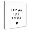 Last van lentekriebels - Spreuken - Quotes Tuinposter op houten frame 2 cm dik klein -3d