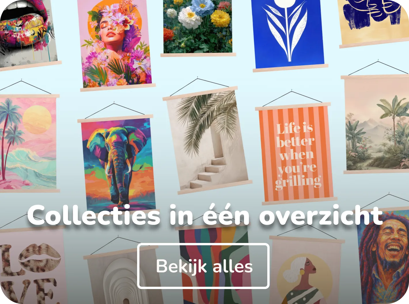 Alle schoolplaat collecties