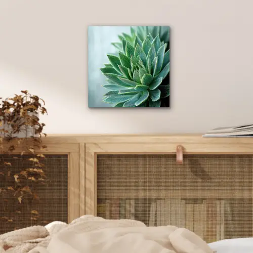 Vetplant - Bladeren - Groen - Wazig aluminium wit klein -sfeer3