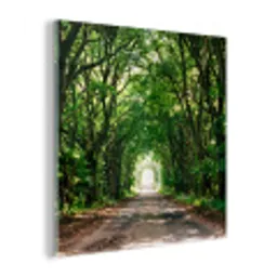 Weg - Bomen - Natuur - Groen plexiglas 5mm klein -z3d