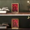 Rood - Roos - Romantisch Light Box met kabel (Tafellamp) klein -sfeer3