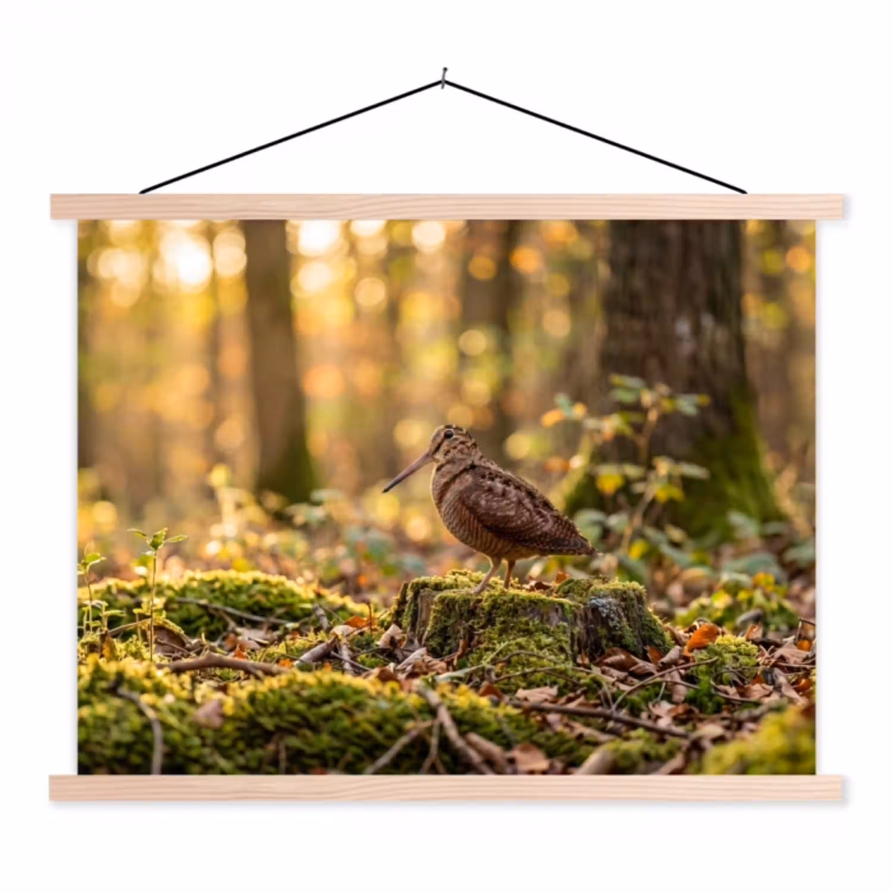 Houtsnip - Bos - Bladeren - Herfst - Gecamoufleerd textielposter latten blank klein -3d