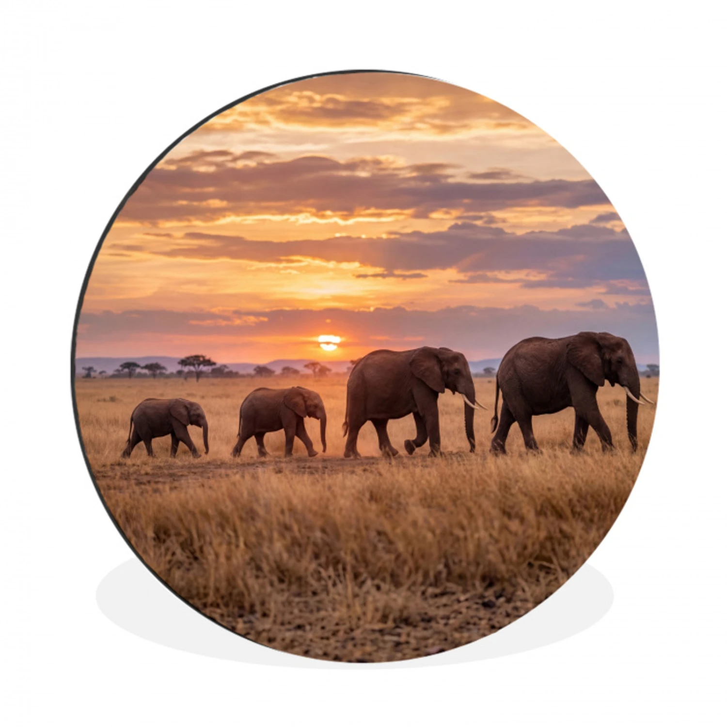 Olifanten - Savanne - Zonsondergang - Afrika - Warm Wandcirkel aluminium klein -3d