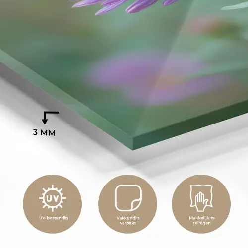 Aster - Paars - Bloem - Blaadjes plexiglas 5mm klein -sfeer2
