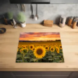 Zonnebloemen - Heuvellandschap - Geel Inductie beschermer vinyl 3mm middel -sfeer5