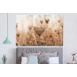 Schermbloem - Droogbloem - Winter - Beige - Minimalistisch forex 5mm xxl -slaapkamer