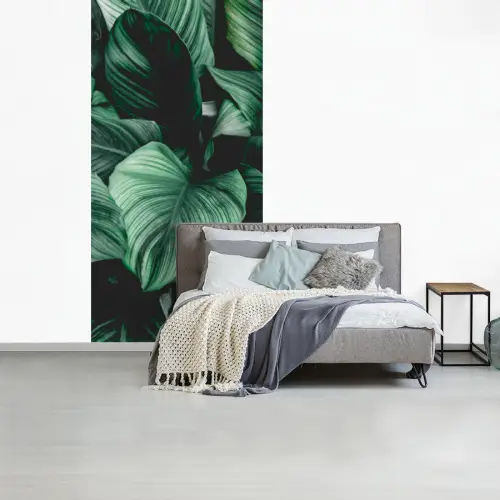 Jungle - Bladeren - Tropisch - Planten - Natuur fotobehang vinyl groot -slaapkamer