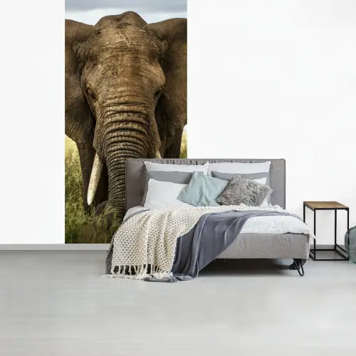 Olifant - Natuur - Gras - Dieren - Landschap fotobehang vinyl groot -slaapkamer