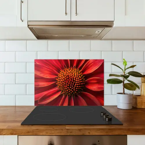 Close up - Bloem- Rood keuken achterwand spatscherm klein -sfeer2