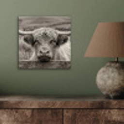 Schotse hooglander - Zwart - Wit - Hout aluminium wit klein -sfeer2
