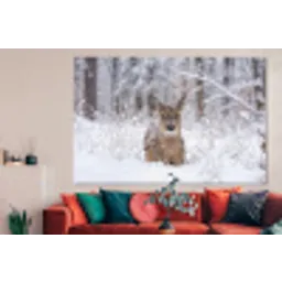 Hert - Sneeuw - Bos - Dieren - Vertederend forex 5mm xxl -woonkamer