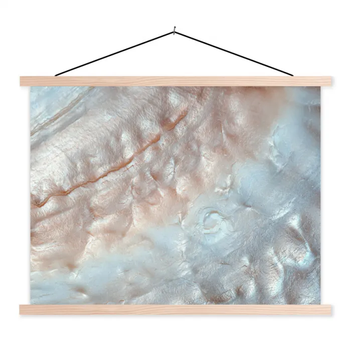Binnenkant van een schelp uit de natuur bedekt met parelmoer textielposter latten blank klein -3d