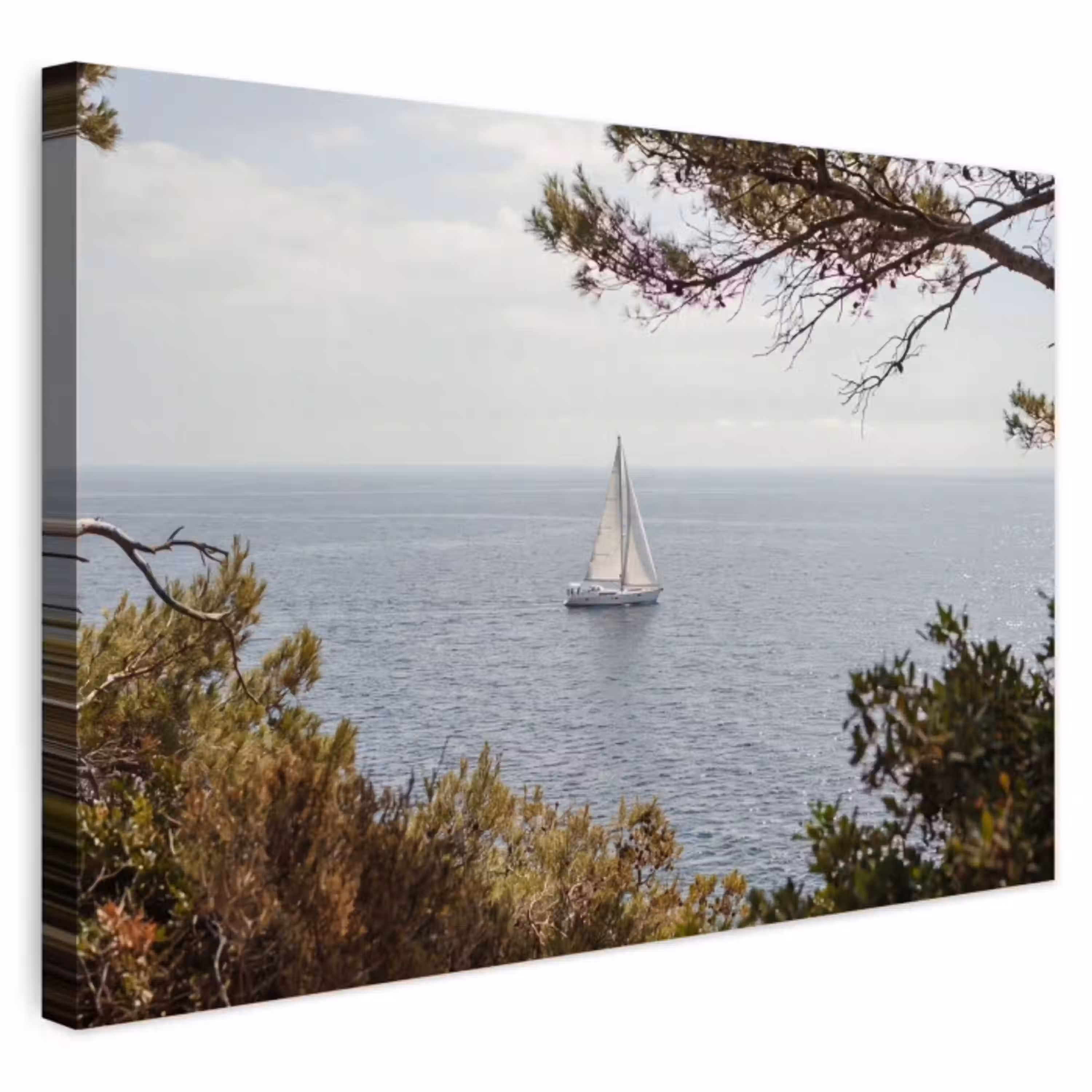 Zeilboot - bomen - water Tuinposter op houten frame 2 cm dik klein -3d