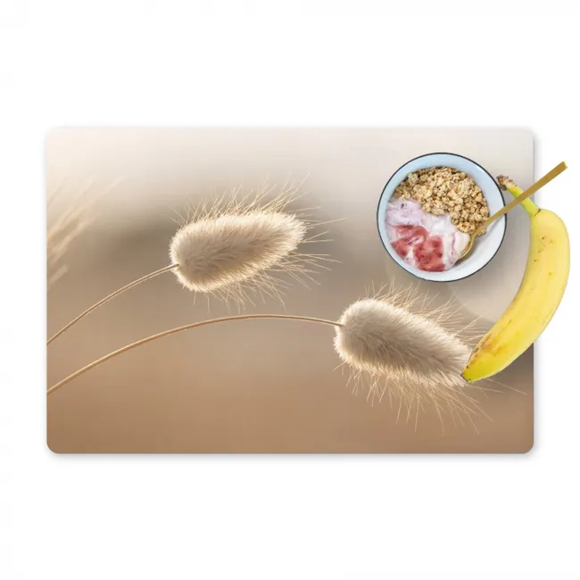 Placemat - 6 stuks - Hazestaartgras - Graanharen - Zonlicht