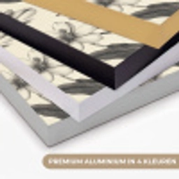 Klassiek - Botanisch - Zwart - Beige Textielframe zwart klein 947 -USP_kleurenNL