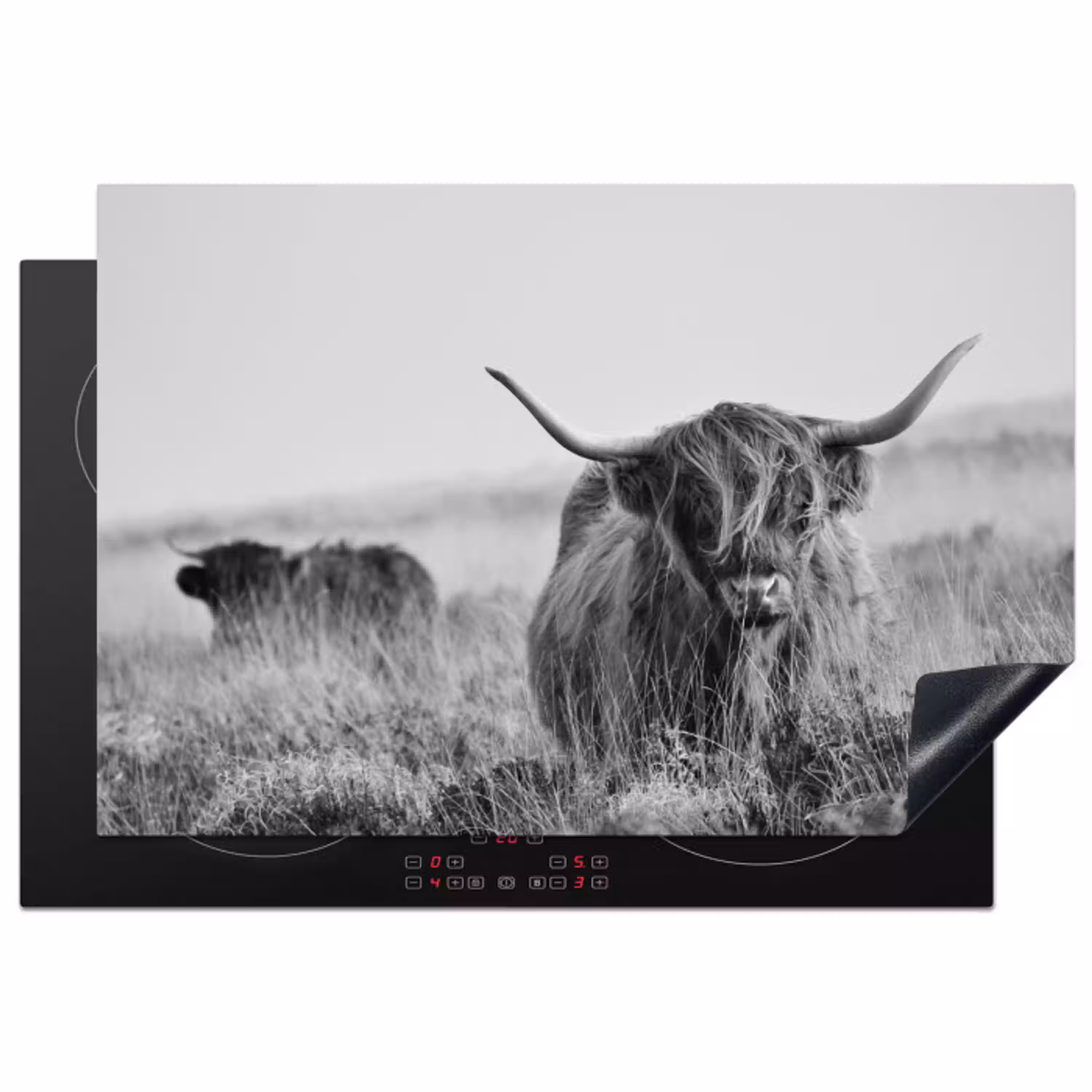 Schotse Hooglander in Monochroom Inductie beschermer vinyl 3mm klein -3d