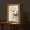 Bloem - Beige - Verf - Schaduw Light Box met kabel (Tafellamp) klein -z3d_website