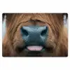 Schotse hooglander - Neus - Bruin Placemat vinyl groot -zzsfeer1_Kitchenyeah-website