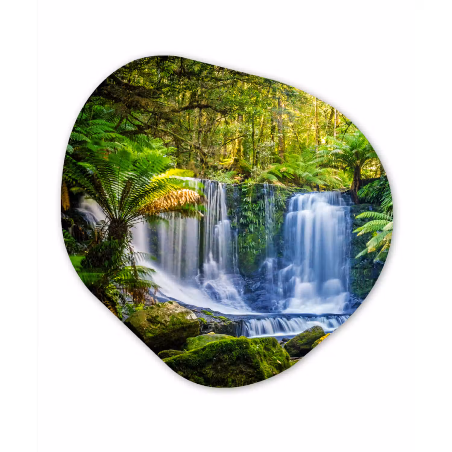 Organische Formen – Aluminium – Jungle - Waterval - Australië - Planten - Natuur