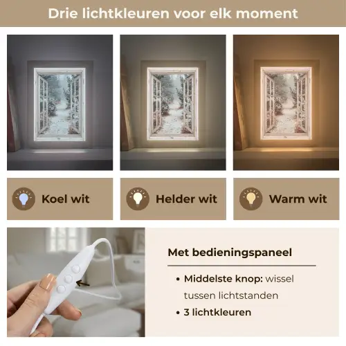 Bos - Winter - Bomen - Natuur - Pad - Doorkijk - Wit Light Box met kabel (Tafellamp) klein -USP_lichtkleurNL