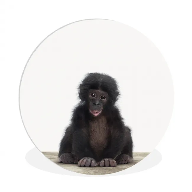 Kind - Aap - Chimpansee - Baby dieren - Jongens - Meiden Wandcirkel kunststof plaat 5mm dik klein -3d