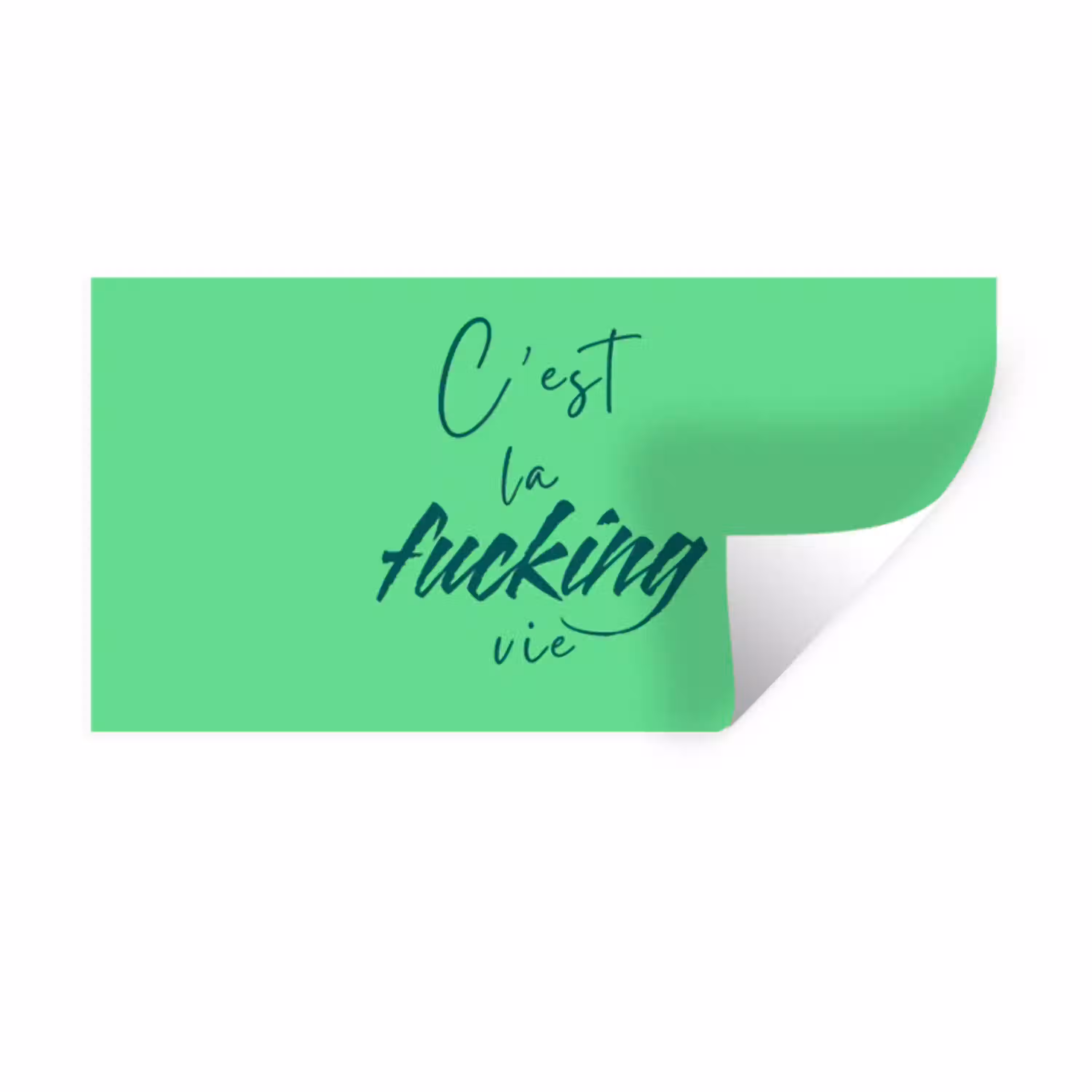 c'est la fucking vie - Groen - Penseelstijl Muursticker klein -3d