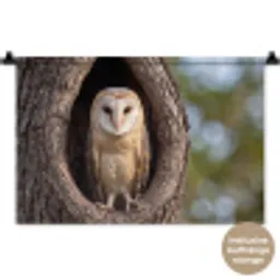 Kerkuil - Boom - Natuur - Bruin Wandkleed katoen klein -t3d_DE