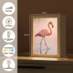Flamingo - Water - Roze Light Box met kabel (Kinderlampje) klein -USP_DE