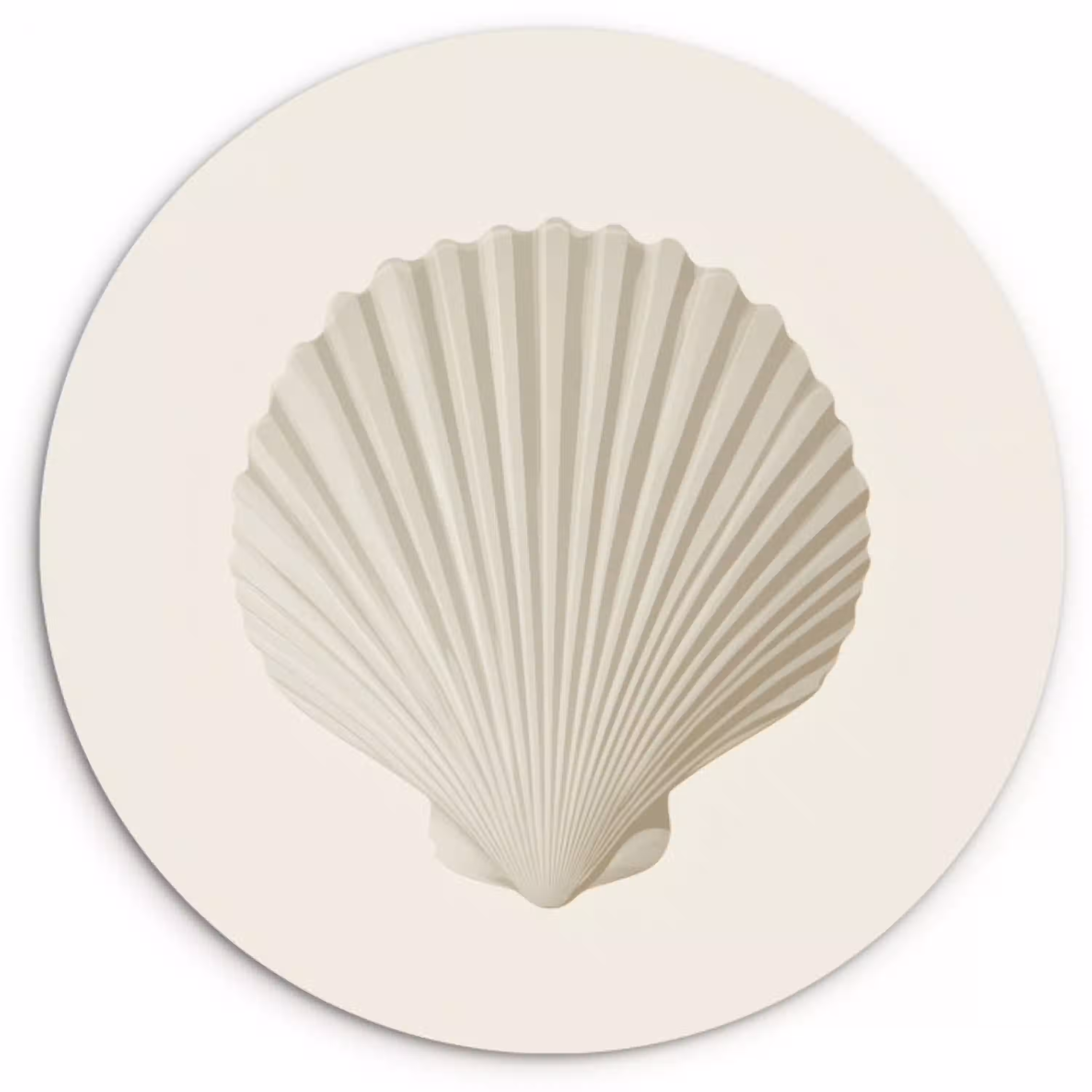 Schelp - Minimalistisch - Wit Wandcirkel kunststof plaat 5mm dik klein -3d