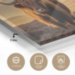 Schotse hooglanders - Heide - Landschap - Dieren plexiglas 5mm klein -sfeer2