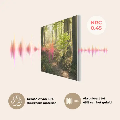 Bos - Bomen - Pad - Zon - Planten - Bladeren - Natuur PET vilt klein -USP_NL