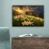 Bloemenveld - Heuvels - Zonsondergang - Berg - Natuur - Wit - Heuvels canvas 2cm klein -sfeer4