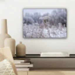 Schermbloem - Rijp - Kristallen - Winter - Delicaat canvas 2cm klein -sfeer6