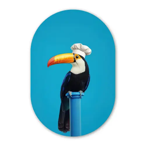 Tucan - Sokkel - Vogel - Koksmuts Wandcirkel Ovaal Glas middel -3d