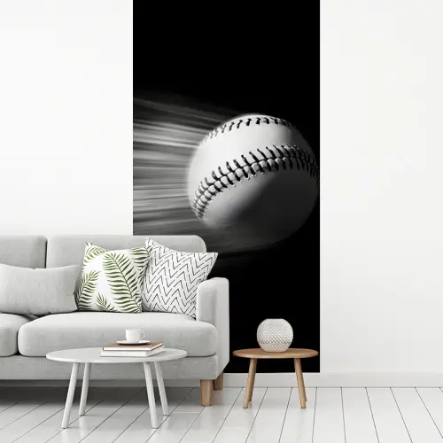 Honkbal - Wit - Vliegt fotobehang vinyl groot -woonkamer