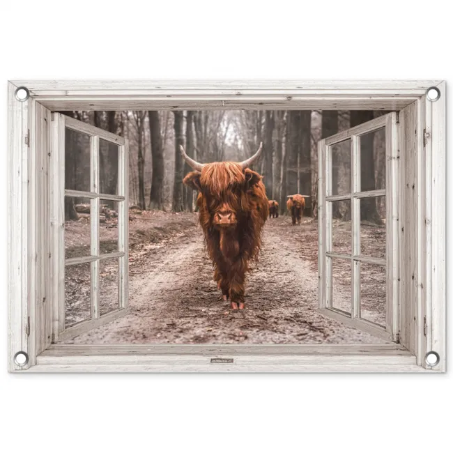 Hooglander door het Raam tuinposter los doek klein -3d